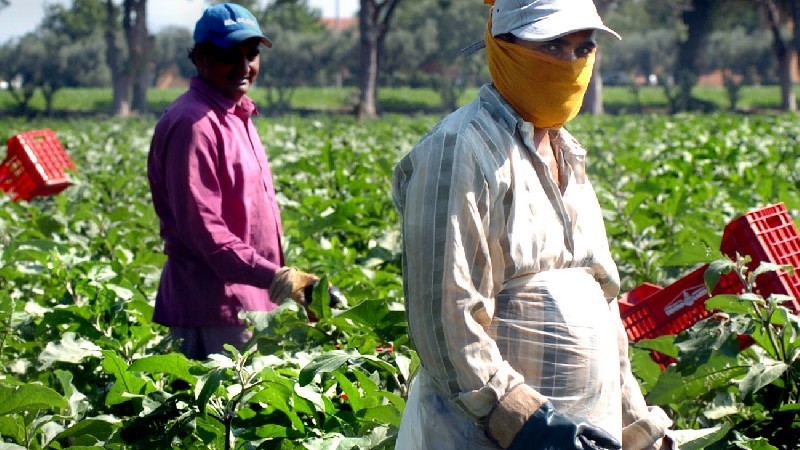 La regolarizzazione dei lavoratori irregolari: una misura urgente e opportuna