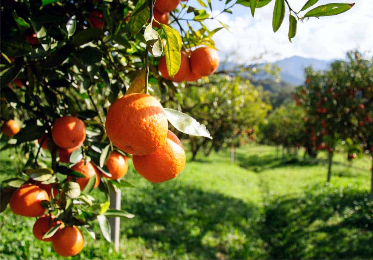 Si tratta di lavoratori. Partiamo da qui.