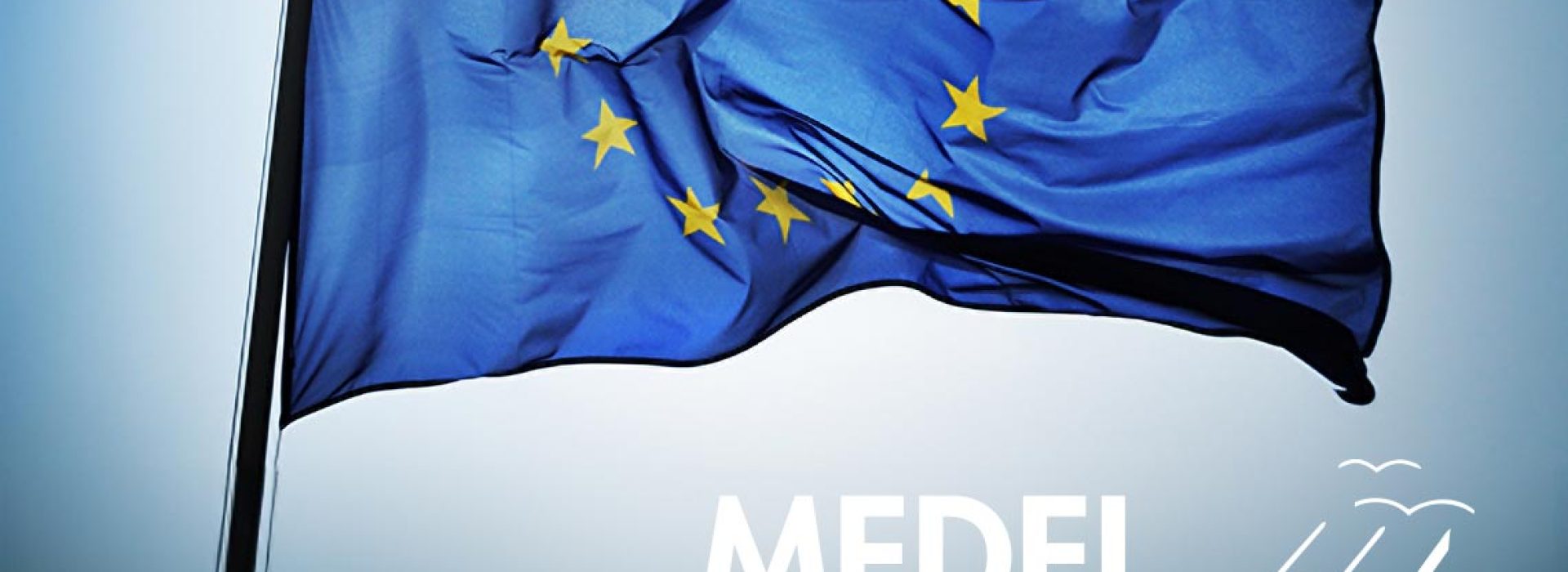 medel_logoeuflag.jpg